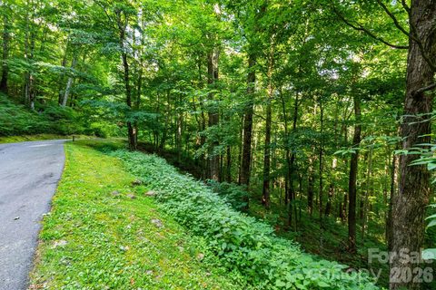 Lot 25 Finlaystone Trace active lot in Highland Forest, Waynesville, NC