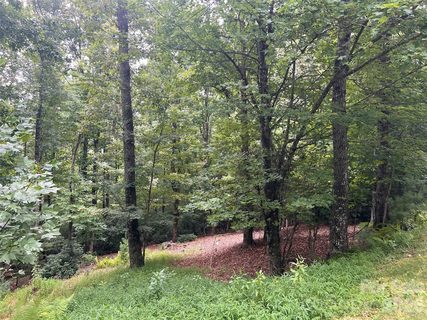 211 Tom Fazio Trace active lot in Champion Hills, Hendersonville, NC