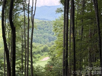 1781 High Line Road active lot in Balsam Mountain Preserve, Sylva, NC