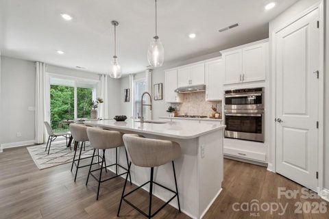 Homes in River Falls, Tega Cay