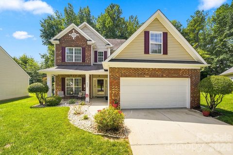 Homes in Reedy Creek Plantation, Charlotte