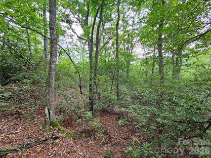 98 Down To Earth Drive active home in The Woods, Burnsville, NC