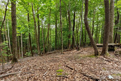203 Sourwood Lane pending home in Westridge, Beech Mountain, NC