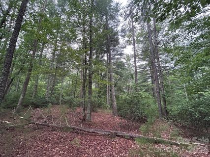 59 Captains Drive pending home in The Arbor At Lake James, Nebo, NC