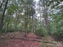 59 Captains Drive sold home in Nebo, SC