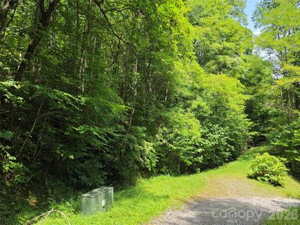 A home in Barkers Creek Preserve