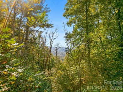 Tbd Laurel Heights active lot in Big Laurel Mountain, Marshall, NC