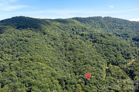 1250 Arborcrest Way active home in High Hickory, Swannanoa, NC