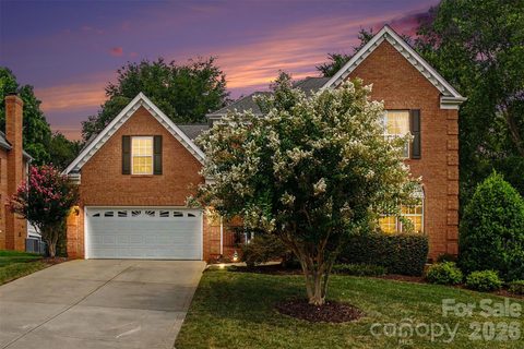 Homes in Birkdale, Huntersville