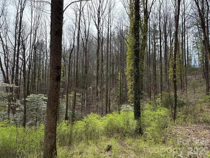 L8 Black Bear Court active lot in Overlook At Sapphire, Sapphire, NC