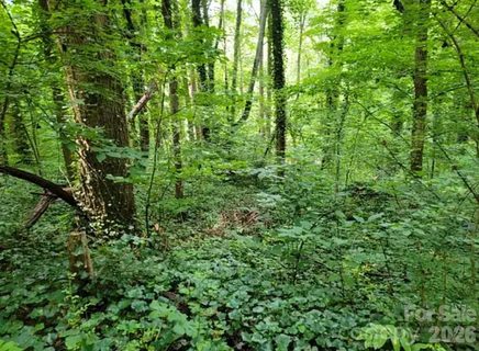 0 Rock Broad River Road active lot in Bat Cave Manor, Hendersonville, NC