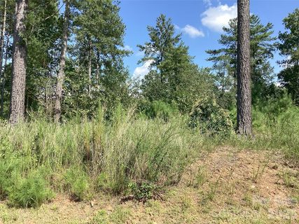 3292 Pyramid Peak Trail active lot in Lakeside Reserve, Connelly Springs, NC