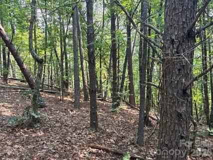 242 Golden Creek Ridge active home in Tongass Ridge, Union Mills, NC