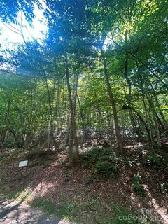 Lot 272 Hummingbird Court active home in Rumbling Bald On Lake Lure, Lake Lure, NC