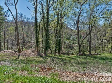 99999 Running Creek Trail active home in The Cliffs At Walnut Cove, Arden, NC