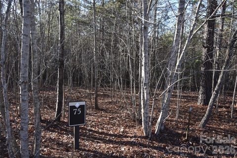 Lot 75 Tayberry Drive active home in Blackberry Creek, Nebo, NC