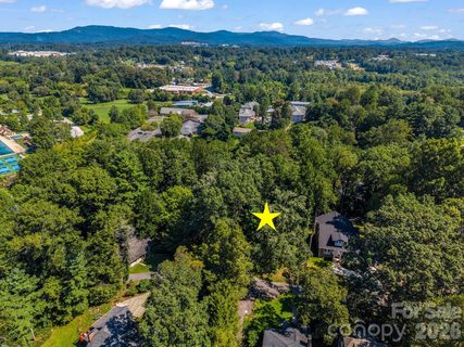 Homes in Mount Royal, Hendersonville