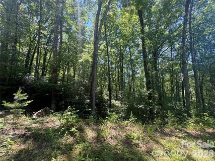 165 N Poplar Drive active home in Riverbend Highlands, Lake Lure, NC