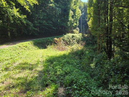 24 Tater Patch Road active land listing in Tater Patch Estates, Maggie Valley, NC