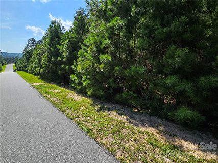 Tbd Coveside Drive active home in The Waterfront Club, Granite Falls, NC
