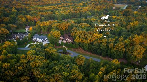 3909 Piaffe Avenue active lot in Cheval, Mint Hill, NC