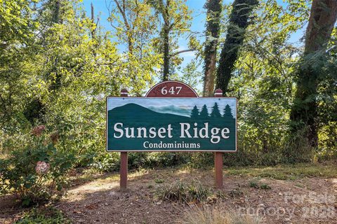 647 Town Mountain Road
