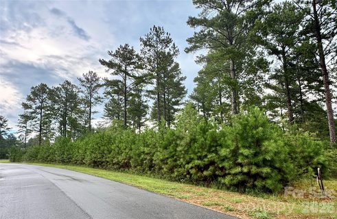 Lot 1 2 44 Acres Paddock Way active home in The Waterfront Club, Granite Falls, NC