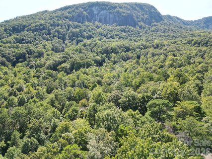 Lot 124 125 101 Banjo Court active home in Rumbling Bald On Lake Lure, Lake Lure, NC