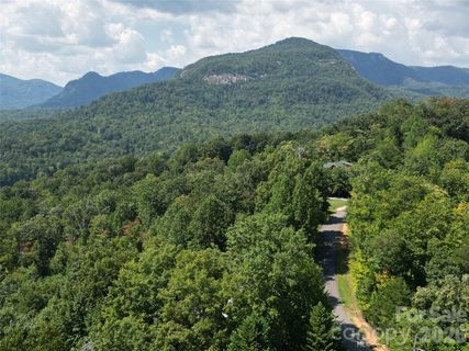 Lot 18 Highland Heights active home in Rumbling Bald On Lake Lure, Lake Lure, NC