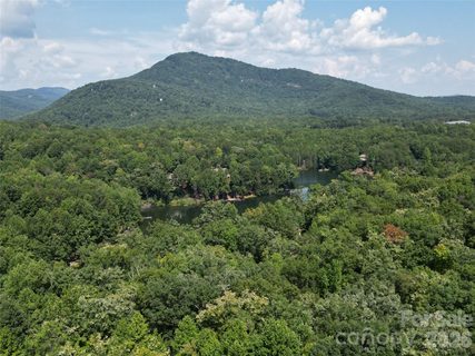 Lot 16 Highland Heights active home in Rumbling Bald On Lake Lure, Lake Lure, NC