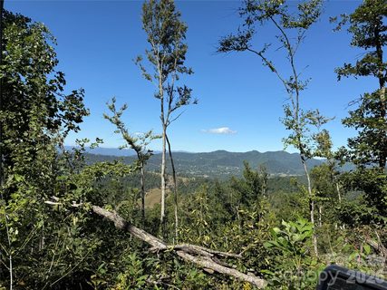 9999 Elk Ridge Drive active lot in Elk Ridge Estates, Asheville, NC