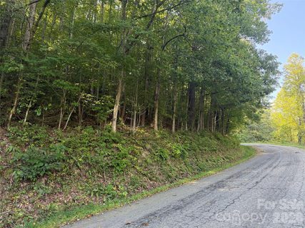 000a Bobcat Road active home in The Rosalie, Waynesville, NC