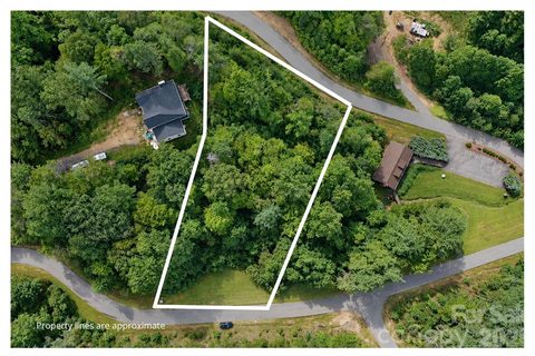 18 Mountain Magnolia Drive active home in Moores Valley, Leicester, NC
