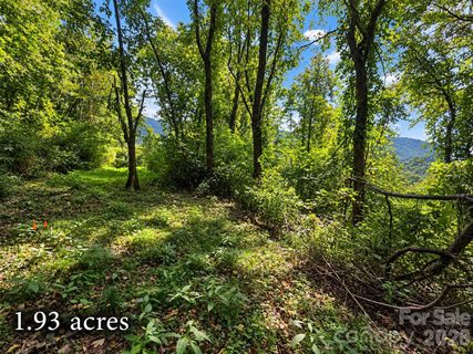 81 Dove Crest Lane active lot in Walnut Ridge, Waynesville, NC