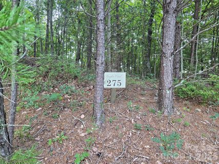 275 Kincaid Place active home in Brights Creek, Mill Spring, NC