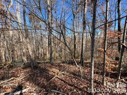 Tbd Trail Ridge Drive active lot in Forest Heights, Marion, NC