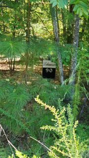 118 Crestline Drive active lot in Lakewood, Marion, NC