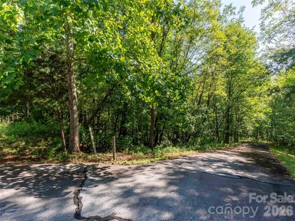Lot 177 Grafton None active lot in Brights Creek, Mill Spring, NC