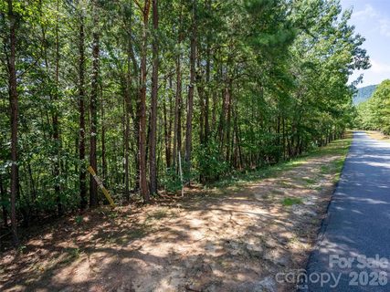 Lot 2010 Deep Gap Farm None active lot in Brights Creek, Mill Spring, NC