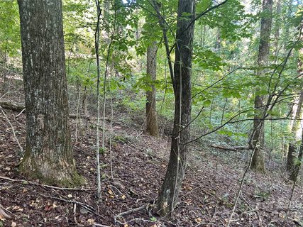 573 Solomon Circle active lot in Pathways Of Solomon, Hendersonville, NC