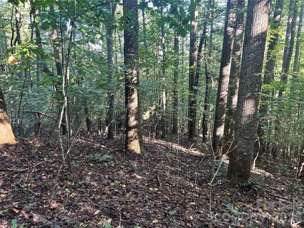 Tbd Mt Hebron Road active lot in Pathways Of Solomon, Hendersonville, NC