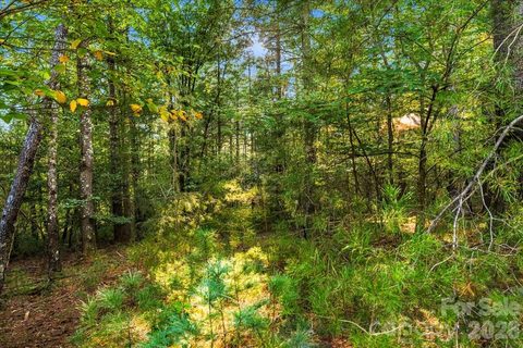 60 Kingfisher Terrace active lot in Old Wildlife Club, Nebo, NC