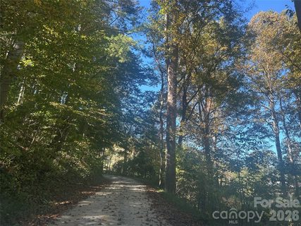 00 Split Pine Cove active land listing in Split Pine Estates, Clyde, NC