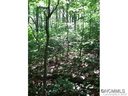 Tbd Hawk Ridge 2 77Acre sold home in Asheville, SC