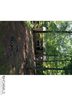18 Clement Drive sold home in Asheville, SC