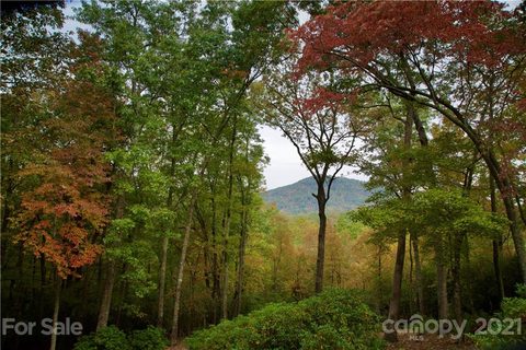 105 Misty Valley Parkway 4-8