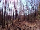 Lot 2 Sec 4 Parchment Lane sold home in Sylva, SC