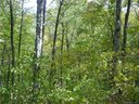 26 Conley Drive sold home in Maggie Valley, SC