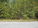 160 N Ridgeview Hill Drive 53 sold home in Hendersonville, SC