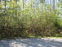117 N Ridgeview Hill Drive 50 sold home in Hendersonville, SC